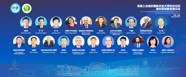 cd3df95cf6134de0a313ece7ad44fa44.png image.png